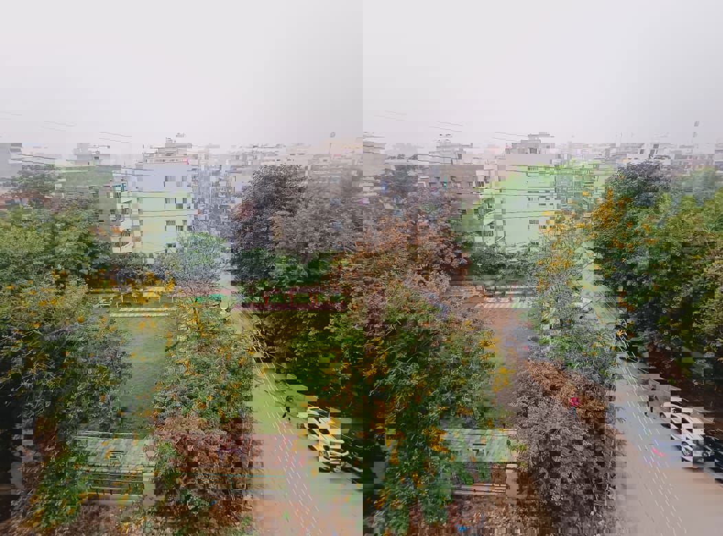 2 BHK Builder Floor For Rent in Sector 46