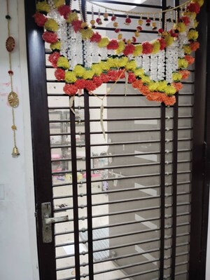 2 BHK Apartment For Rent in Gaur City 2 - 14th Avenue, Sector 16c Greater Noida