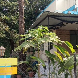 2 BHK Independent House – Exterior View View at Panchawati - for Rent