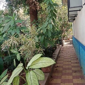 2 BHK Independent House – Exterior View View at Panchawati - for Rent