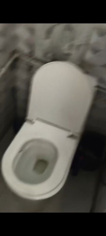 1 BHK + Pooja Room Builder Floor For Rent in RWA Apartments Sector 12