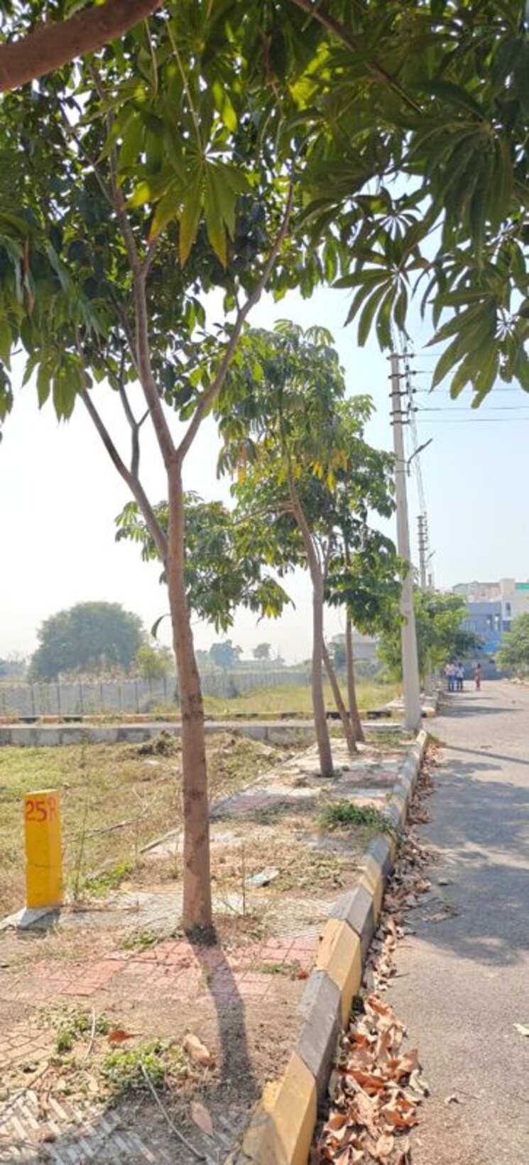 Garden, gurram guda  167 Sq.Yd. Plot In Gurram Guda Hyderabad 9807697