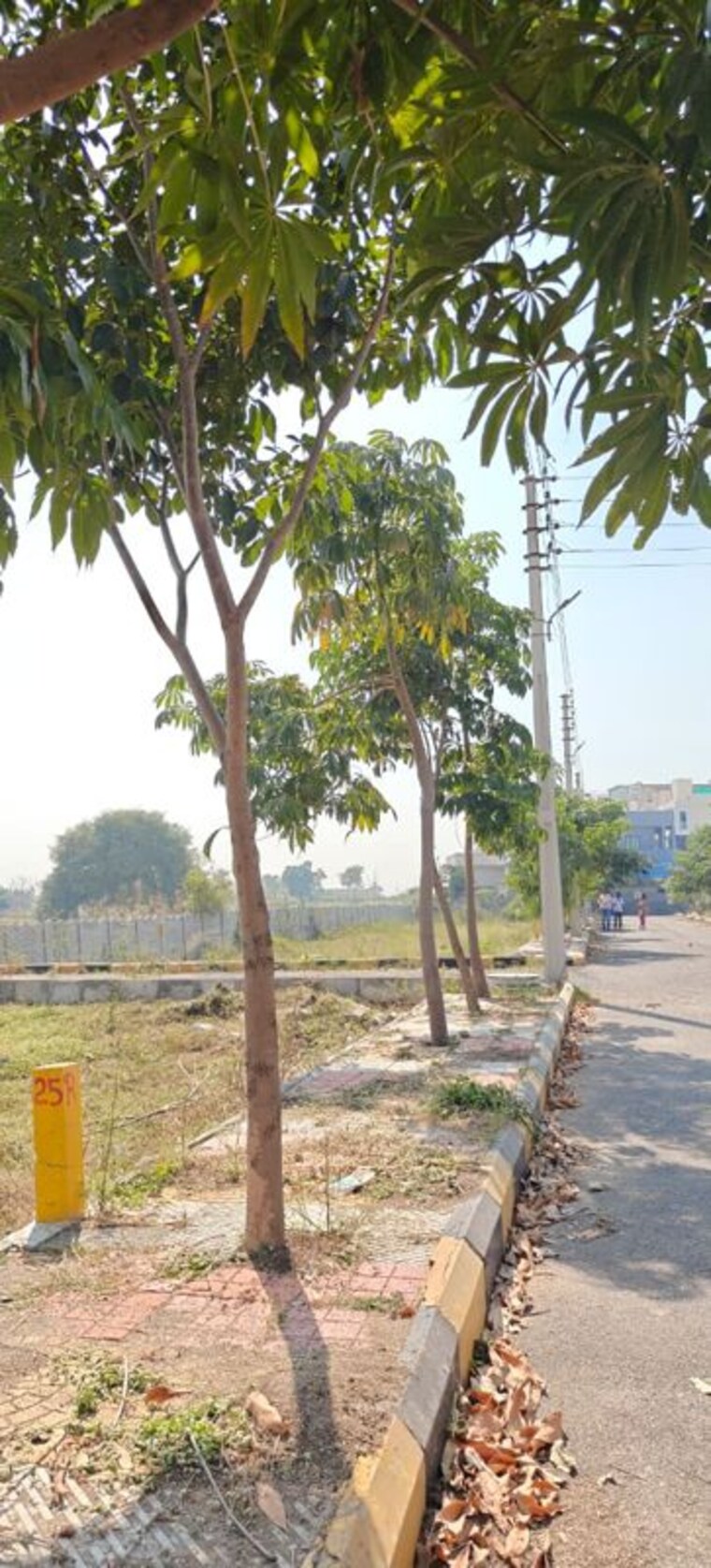 Garden, gurram guda  167 Sq.Yd. Plot In Gurram Guda Hyderabad 9807697