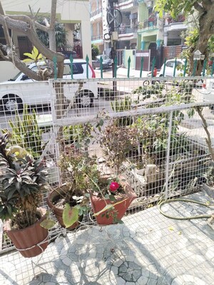 1 RK Builder Floor – Exterior View View at Gomti Nagar - for Rent