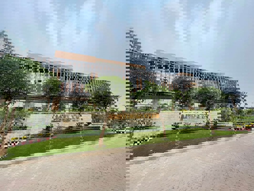 3 BHK + Pooja Room,Extra Room Builder Floor For Rent in BPTP Amstoria