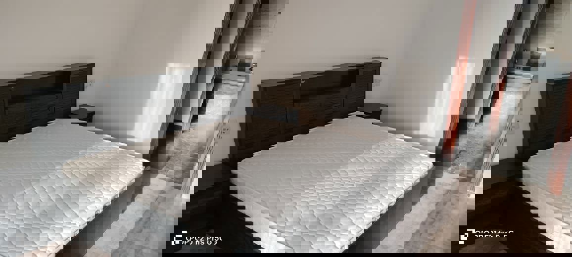 4 BHK + Pooja Room,Servant Room,Study Room,Extra Room Apartment For Rent in Vasant Vihar