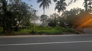  Plot For Sale in Karukutty