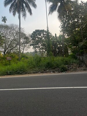 Plot Area in  Plot at Karukutty – for Sale