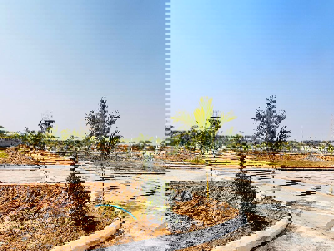 Plot For Sale in Sri Siddi Star City