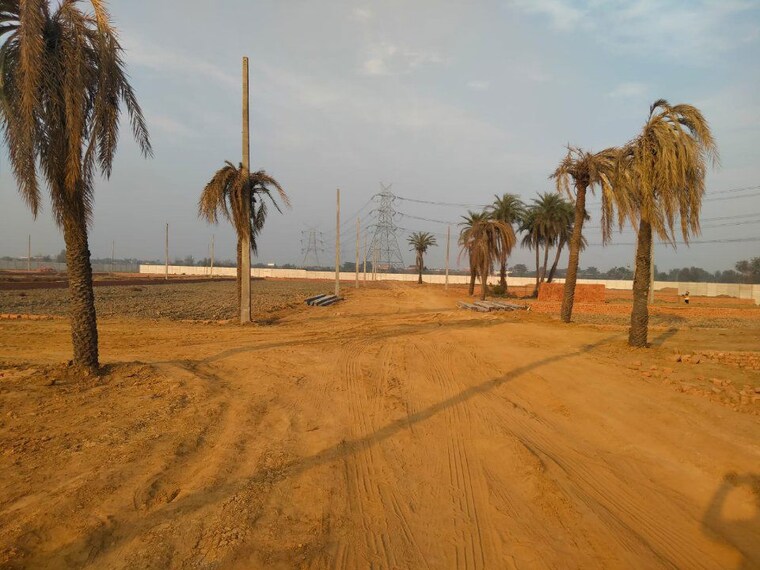 undefined, dadri  100 Sq.Yd. Plot In Dadri Greater Noida 9808287
