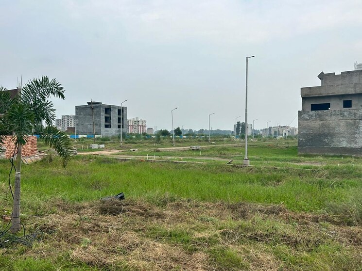 undefined, alaknanda-maxxus-eden-estate  124 Sq.Yd. Plot In Ghazipur Zirakpur 9808332