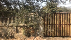  Plot For Sale in Sigma Ii Greater Noida