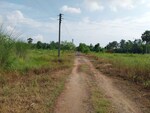 2880 Sq.Ft. Plot in Joka