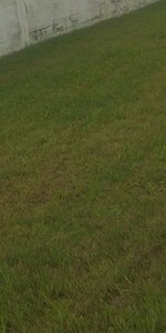 450 Sq.Yd. Plot in Model Gram