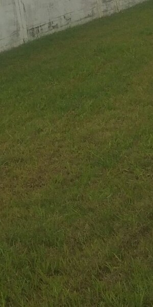  Plot For Sale in Model Gram