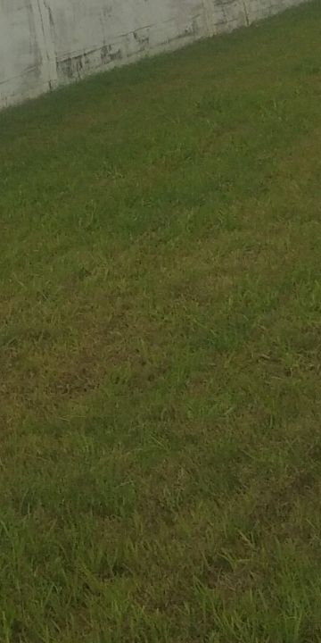 Plot For Sale in Model Gram