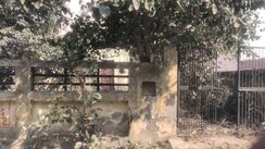 Plot For Sale in Sigma II Greater Noida