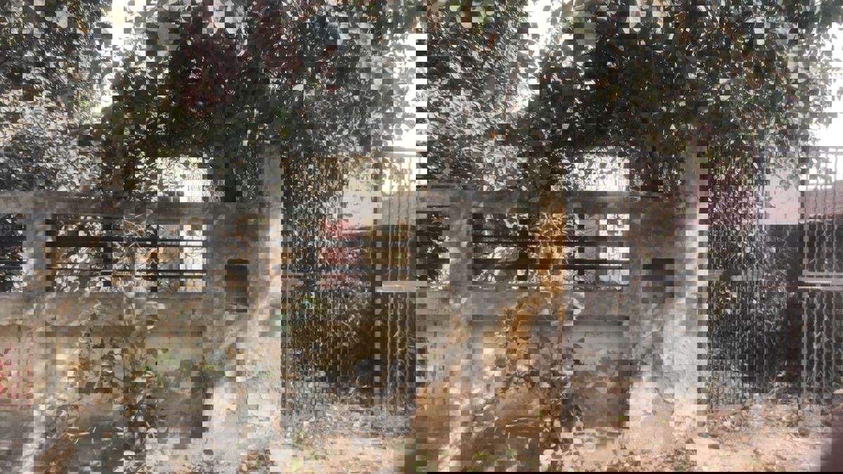 Plot For Sale in Sigma II Greater Noida