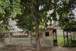  Plot For Sale in Sigma Ii Greater Noida