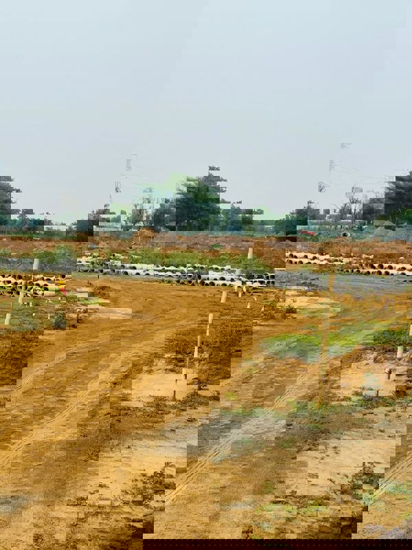 Plot For Sale in Signature Global City of Colours