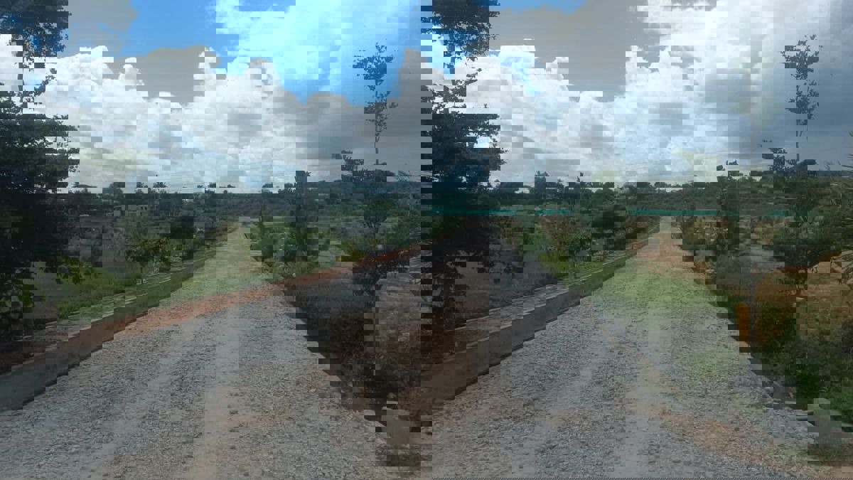 Plot For Sale in Jigani