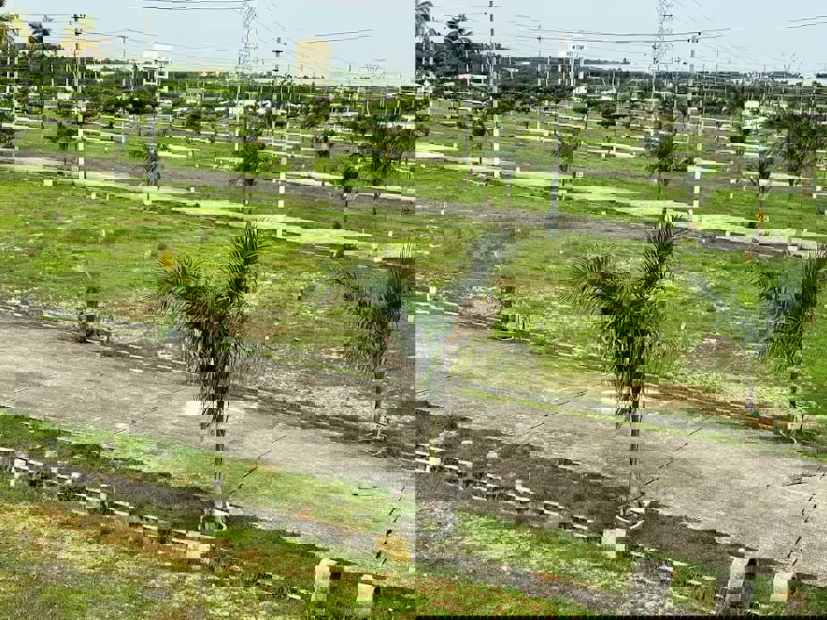 Plot For Sale in Hoskote