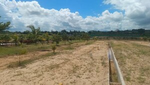 Plot Area in  Plot at Chikkaballapur – for Sale