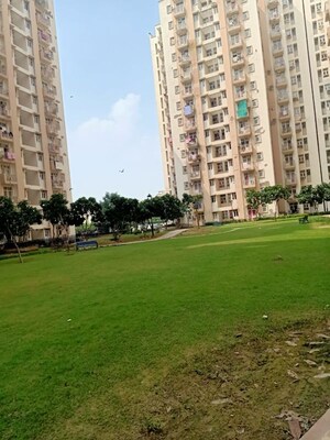 3 BHK Apartment – Exterior View View at Tulip White, Sector 69 - for Rent