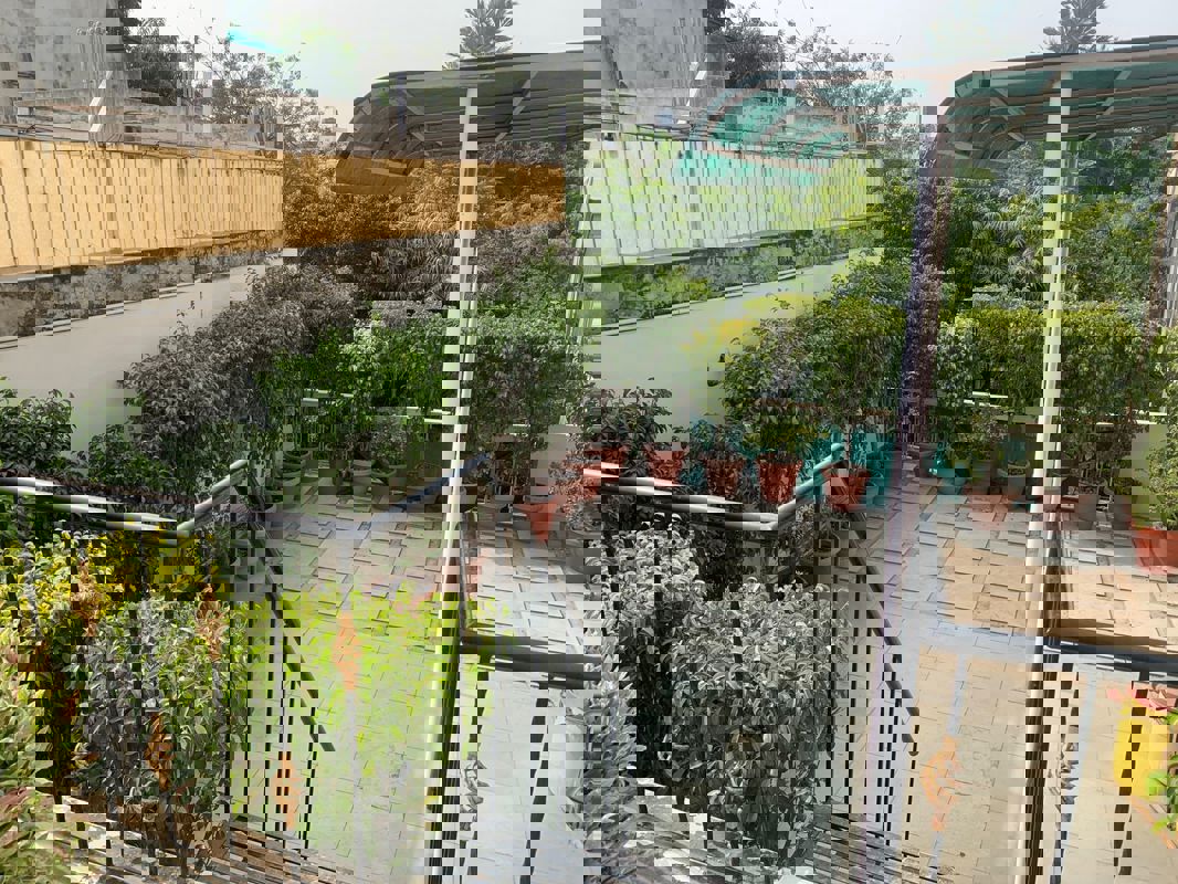 3 BHK + Servant Room Independent House For Rent in Hauz Khas