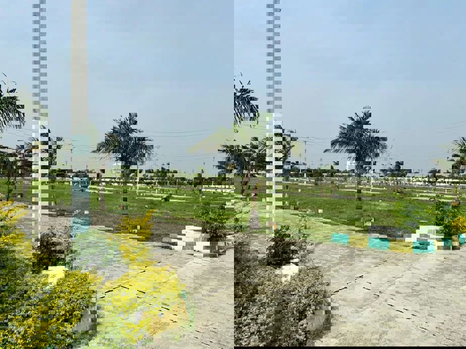 Plot For Sale in Kolar