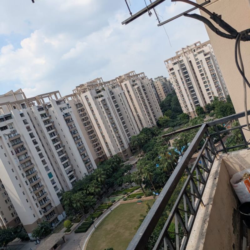 3 BHK + Extra Room Apartment For Rent in Orchid Petals