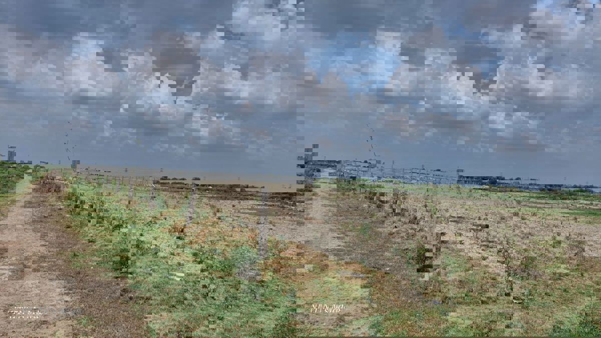 Plot For Sale in Roza Yakubpur