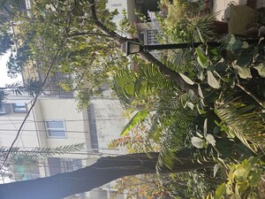 Balcony in 3 BHK Apartment at Alaknanda – for Sale