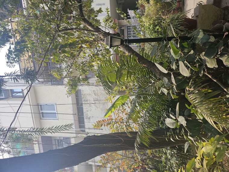 Balcony, alaknanda 3 Bedroom 1400 Sq.Ft. Apartment In Alaknanda Delhi 9808933