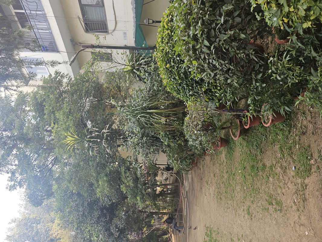 3 BHK Apartment For Sale in Alaknanda