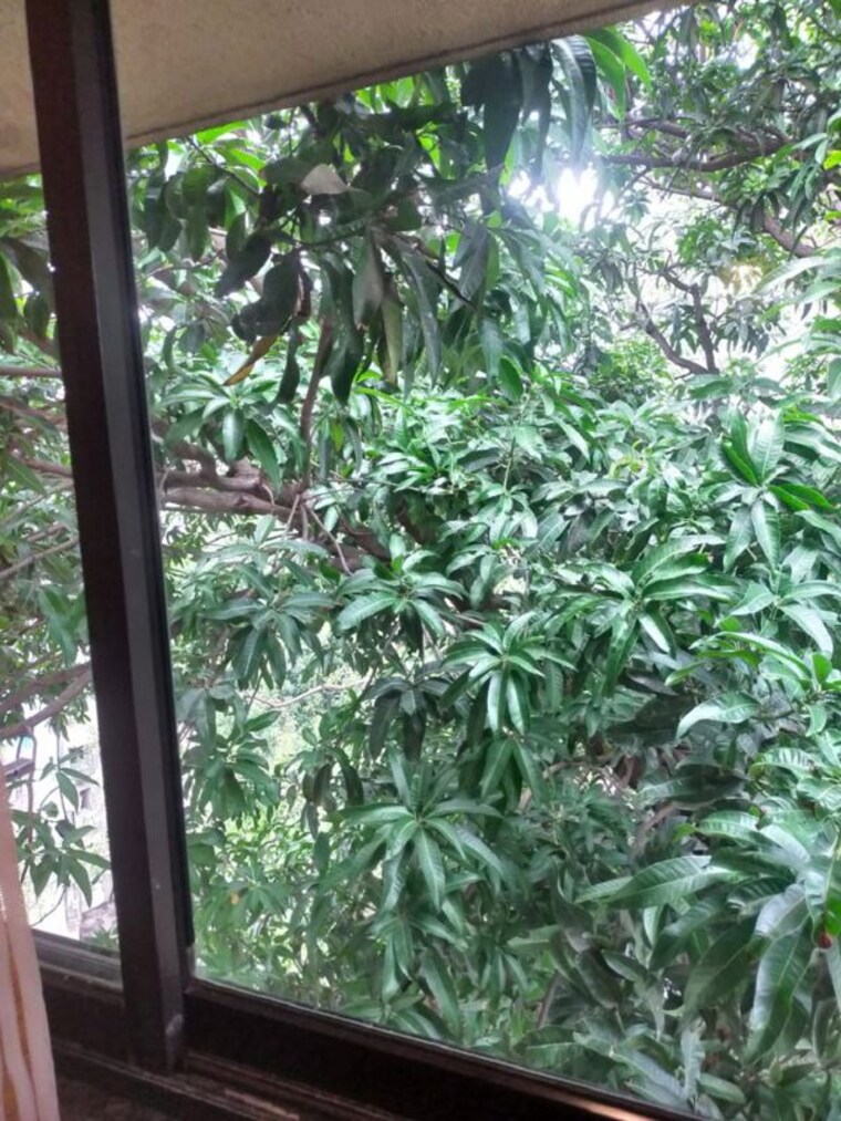 Exterior View, bandra west 2 Bedroom 700 Sq.Ft. Apartment In Bandra West Mumbai 9808941