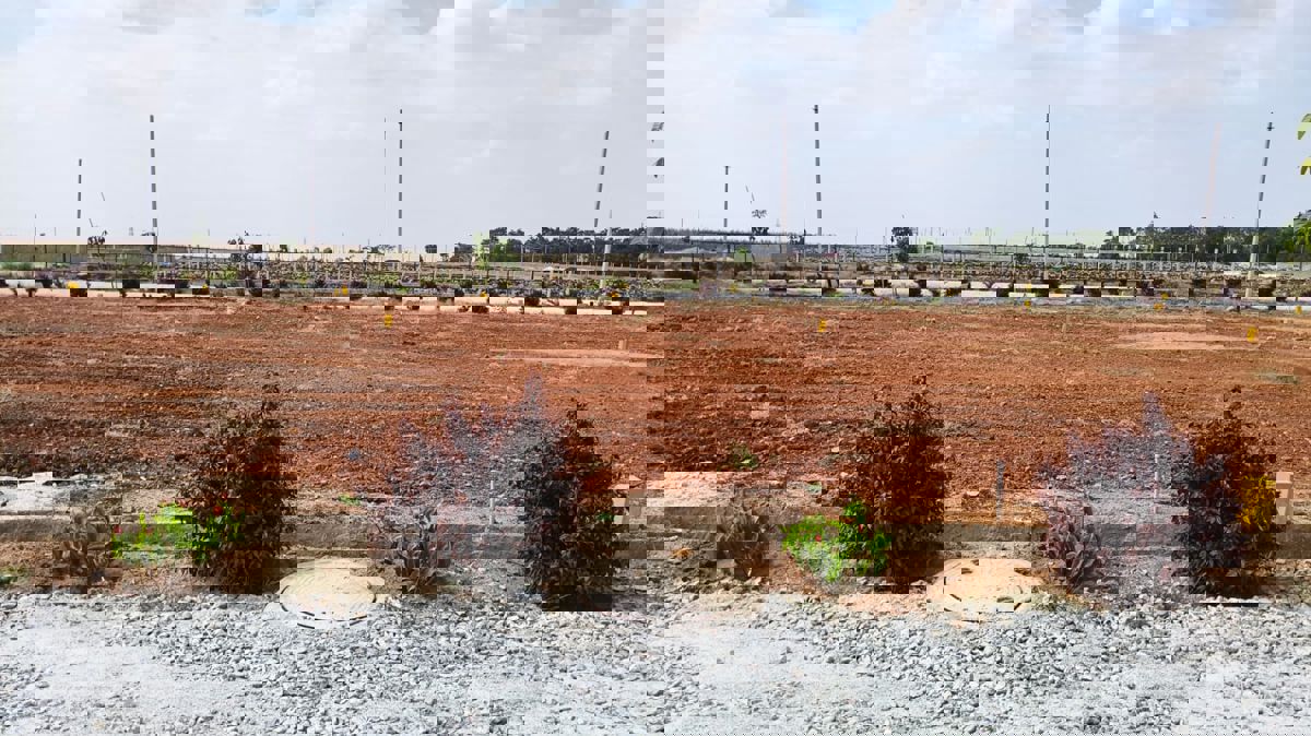 Plot For Sale in Gauribidanur