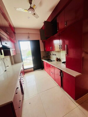 Kitchen in 3 BHK Builder Floor at Sector 39 – for Rent
