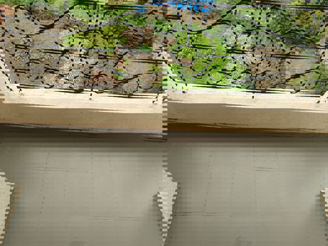 2 BHK + Servant Room Apartment For Rent in Utsav 51 Balewadi Residences