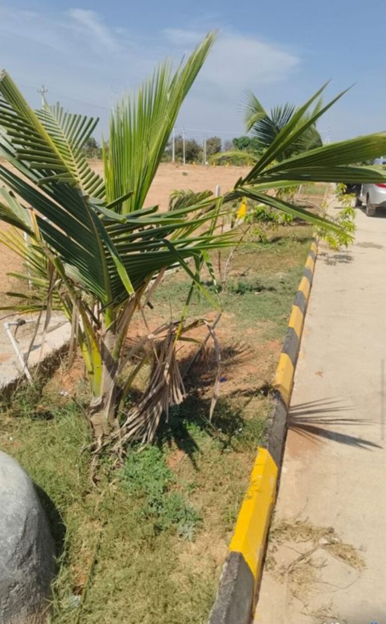 Garden, yacharam  605 Sq.Ft. Plot In Yacharam Hyderabad 9809369
