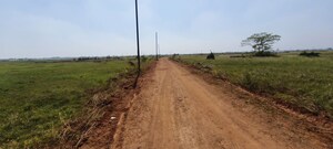 Plot Area in  Plot at Patrapada – for Sale