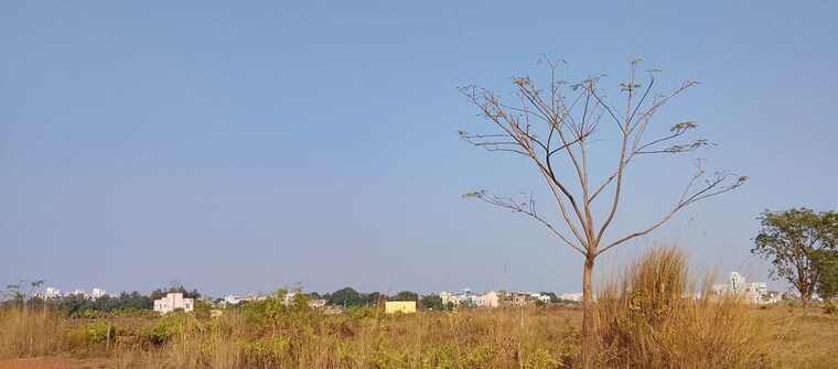 undefined, patrapada  1200 Sq.Ft. Plot In Patrapada Bhubaneswar 9809505