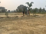 1000 Sq.Ft. Plot in Gosainganj