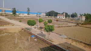 Plot Area in  Plot at Mohanlalganj – for Sale