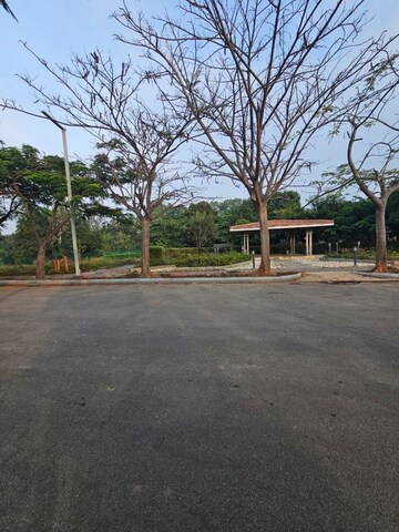 Plot Area in  Plot at The County Address, Sarjapur – for Sale