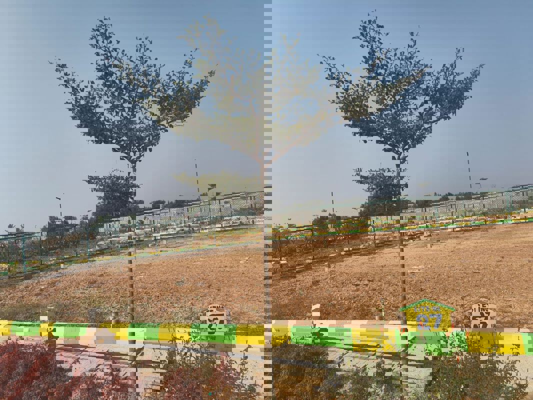 Plot For Sale in Hoskote