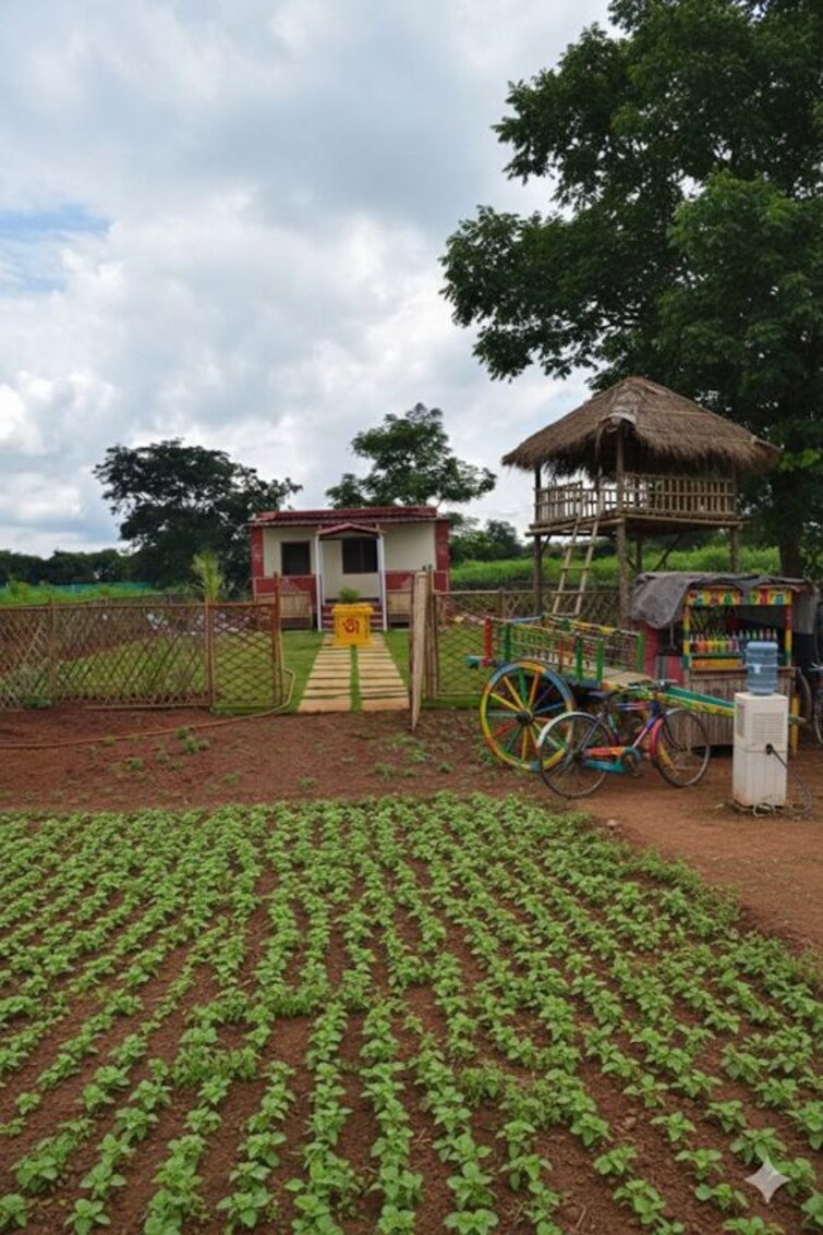 Cover Image, shankarpalli  185 Sq.Yd. Plot In Shankarpalli Hyderabad 9810043