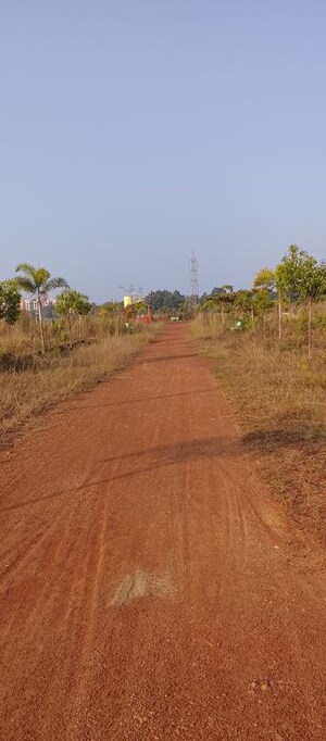 Plot Area in  Plot at Patrapada – for Sale