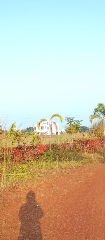 Plot Area in  Plot at Patrapada – for Sale