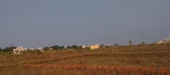 Plot For Sale in Patrapada